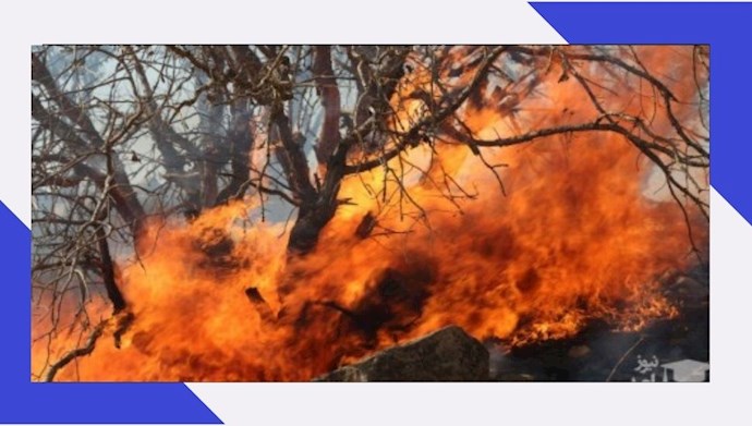 آتش‌سوزی جنگل توسکستان در گرگان