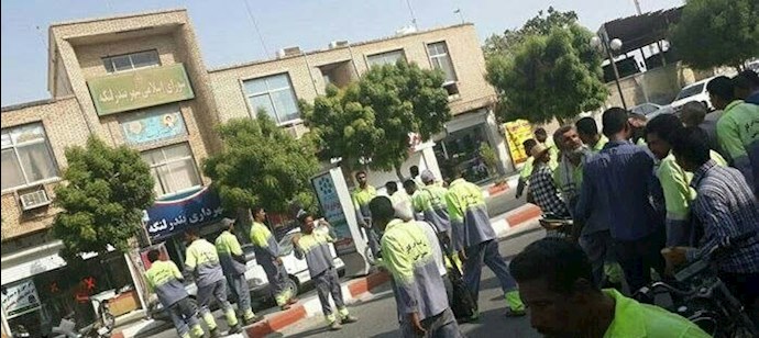 -تجمع کارگران فضای سبز بندر لنگه