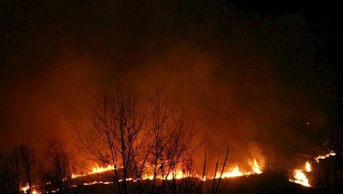  آتش سوزی  در جنگلھای گیلان
