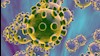 ویروس کرونا