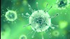 ویروس کرونا