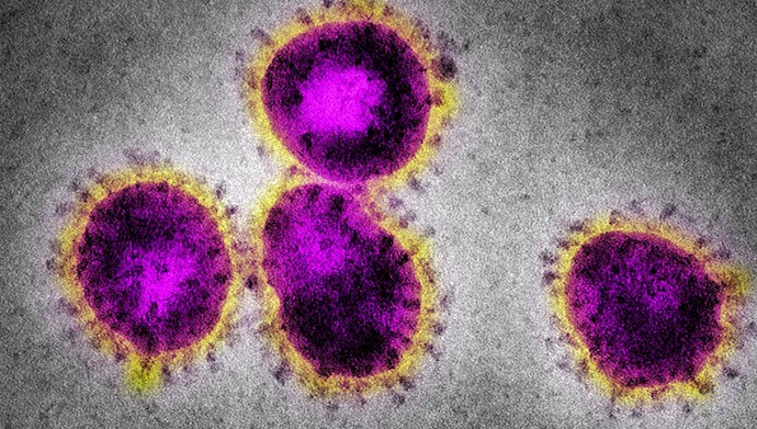 کرونا ویروس