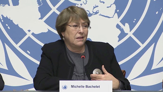 میشل باشله، کمیسر عالی حقوق بشر در سازمان ملل متحد