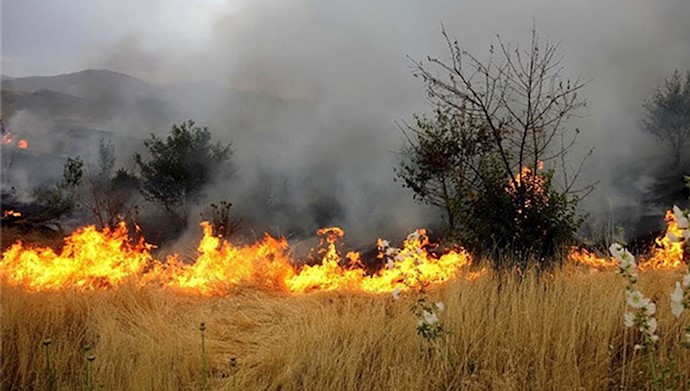 آتش‌سوزی در مراتع تنگستان و دشتستان در بوشهر