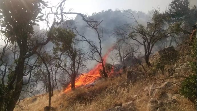 آتش سوزی در جنگلهای گچساران