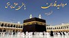 مروارید فاران- قسمت چهارم