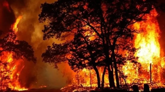 آتش‌سوزی جنگل‌های خائیز
