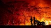 وقوع ۲۴۰ مورد آتش‌سوزی در ۷۴ روز گذشته در ۱۱ استان