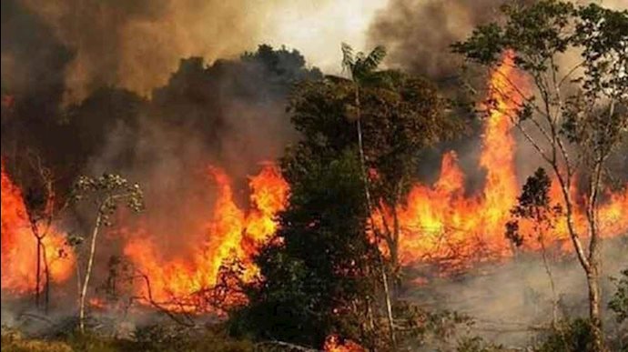 اعتراف به گسترش آتش‌سوزی در جنگل و نبود امکانات