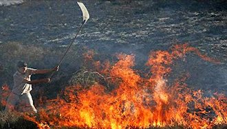 آتش‌سوزی در جنگلهای ایران
