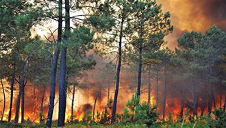 جنگل‌های گیلان در آتش
