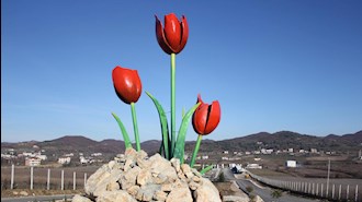 نماد گلهای سرخ در اشرف۳