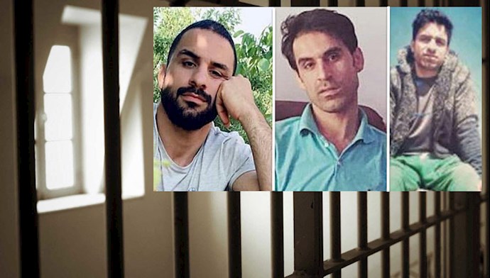 احکام اعدام و شلاق و زندان از سوی قضاییه جلادان برای ۳برادر در قیامهای شیراز و کازرون