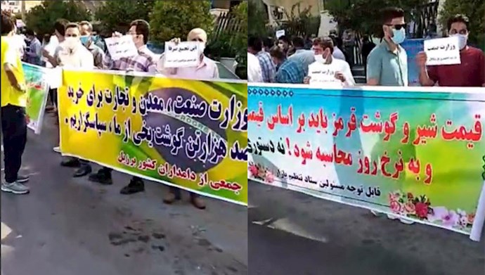 تجمع  اعتراضی دامداران استان فارس در مقابل سازمان صمت