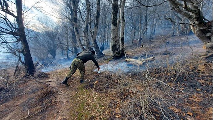 آتش سوزی در جنگلهای گیلان و مازندران
