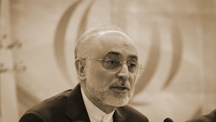 علی‌اکبر صالحی رئیس سازمان انرژی اتمی رژیم 