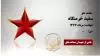 مجاهد شهید سعید خرمنگاه
