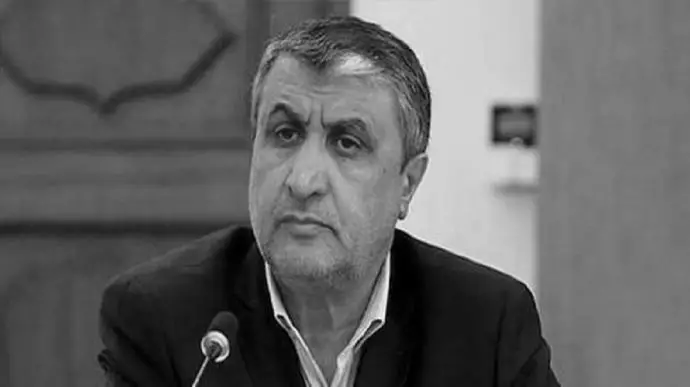 محمد اسلامی رئیس آژانس اتمی رژیم