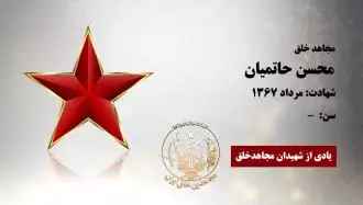 محسن حاتمیان