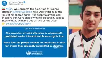 سازمان ملل متحد اعدام آرمان عبدالعالی را محکوم کرد
