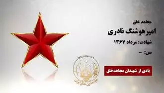 امیرهوشنگ نادری
