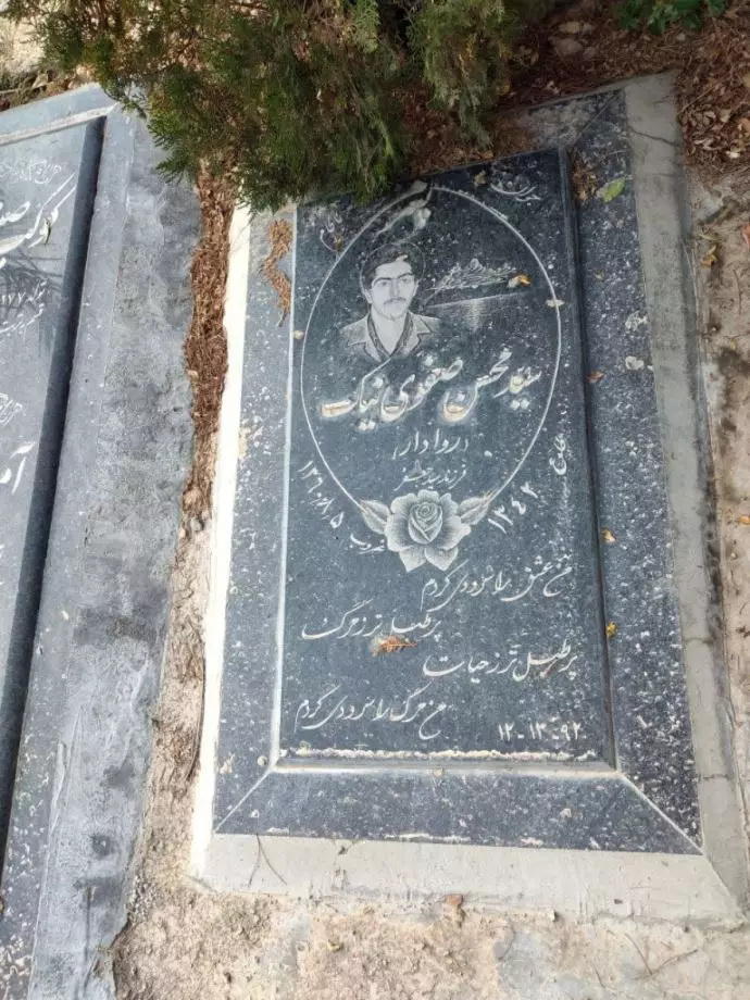 سیدمحسن صفوی نیک (روادار) 