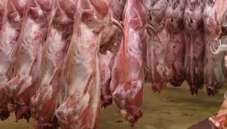 گران شدن گوشت گوسفندی