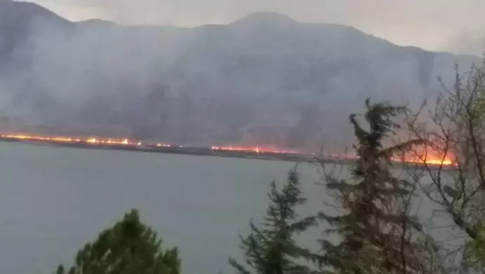 آتش سوزی گسترده نیزارهای دریاچه زریبار 