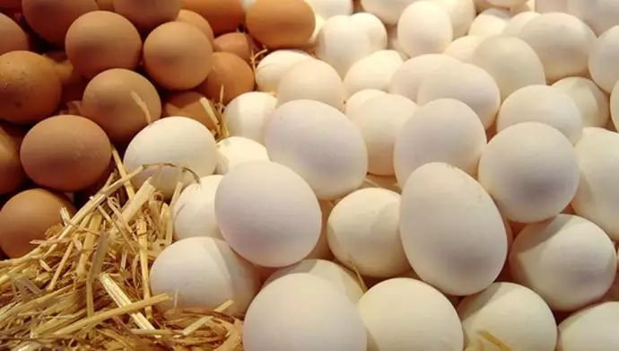 گران شدن تخم مرغ