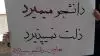 دانشجو میمیرد ذلت نمی‌پذیرد