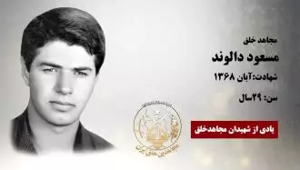 مجاهد شهید مسعود دالوند 