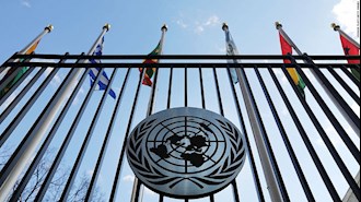 سازمان حقوق بشر ملل متحد