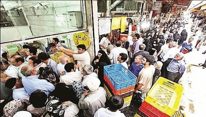 صف مرغ در ایران