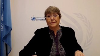 میشل باشله مسئول امور حقوق بشر در سازمان ملل متحد
