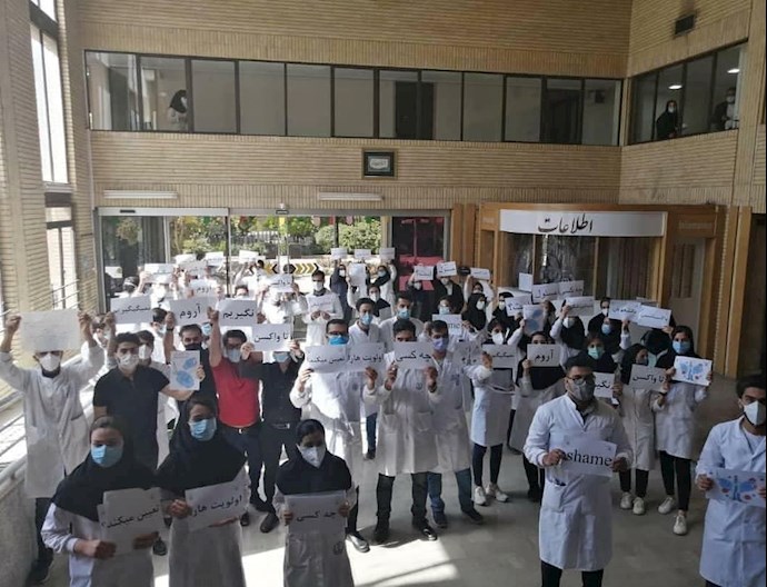 -دانشجویان دندانپزشکی شیراز 