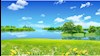 منظره - عکس از آرشیو