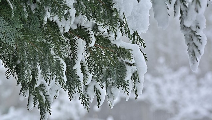 منظره