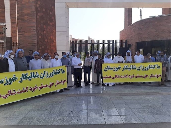 -تجمع شالیکاران خوزستان -تجمع شالیکاران خوزستان