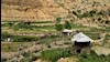 منظره