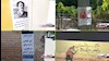 فعالیت کانون‌های شورشی در شهرهای میهن