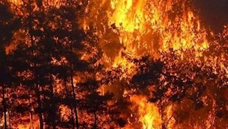 آتش‌سوزی جنگل‌های هایقر فیروز آباد فارس
