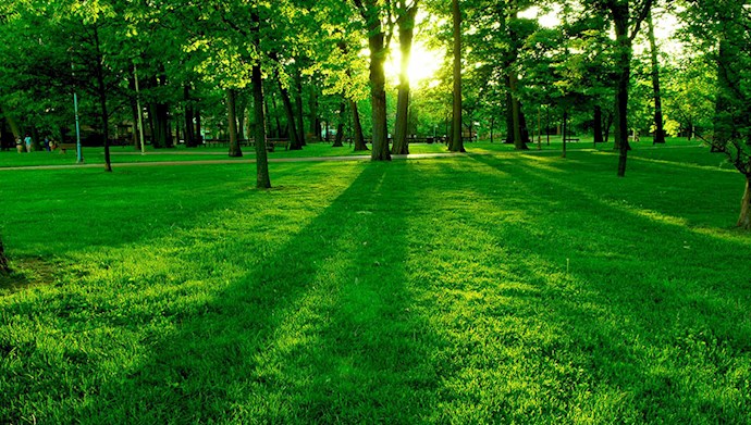 منظره