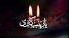 زینب کبری، آموزگار و سلسله‌جنبان قیام
