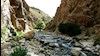 منظره