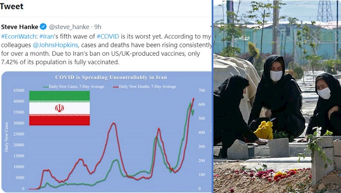 توییت استیو هنکی در ارتباط به فاجعه کرونا در ایران
