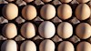 گران شدن تخم مرغ