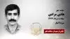 مجاهد شهید هادی مرادی