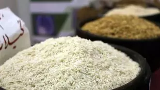 برنج گران شد