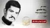 مجاهد شهید رضا حامدی
