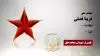 مجاهد شهید  فریبا فضلی 